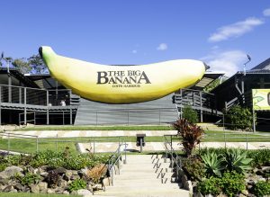 Banana Fun Park